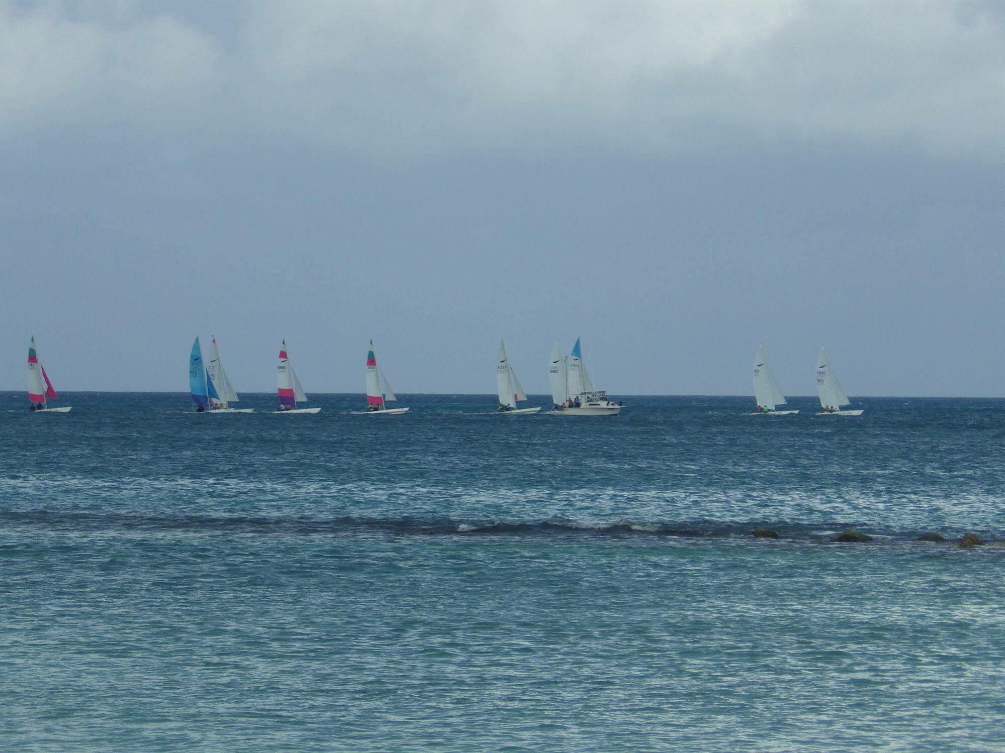 Aruba Cunucu Residence Palm Beach Luaran gambar